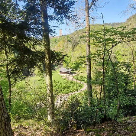 Eifel-fewo By Salzburger Apartman Manderscheid