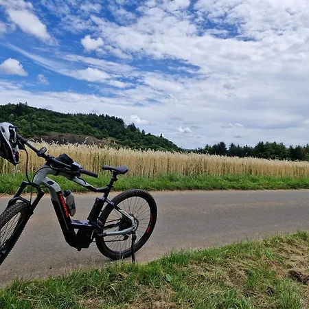 Eifel-fewo By Salzburger Διαμέρισμα