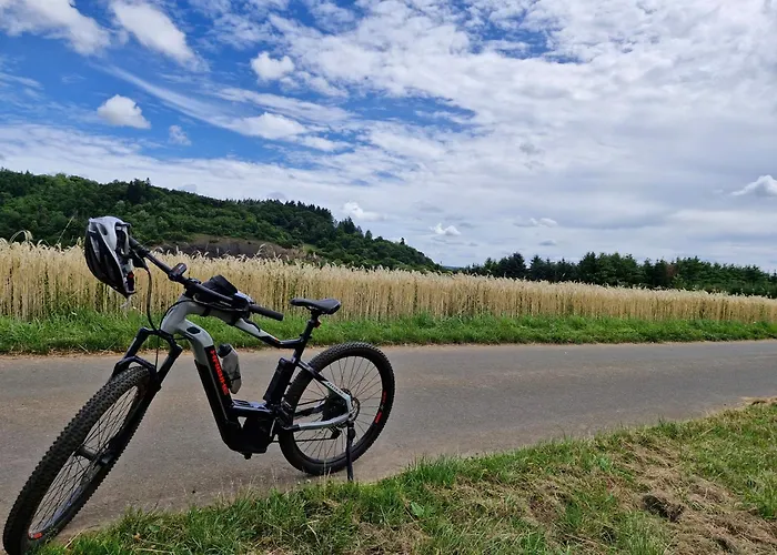 Eifel-fewo By Salzburger アパート